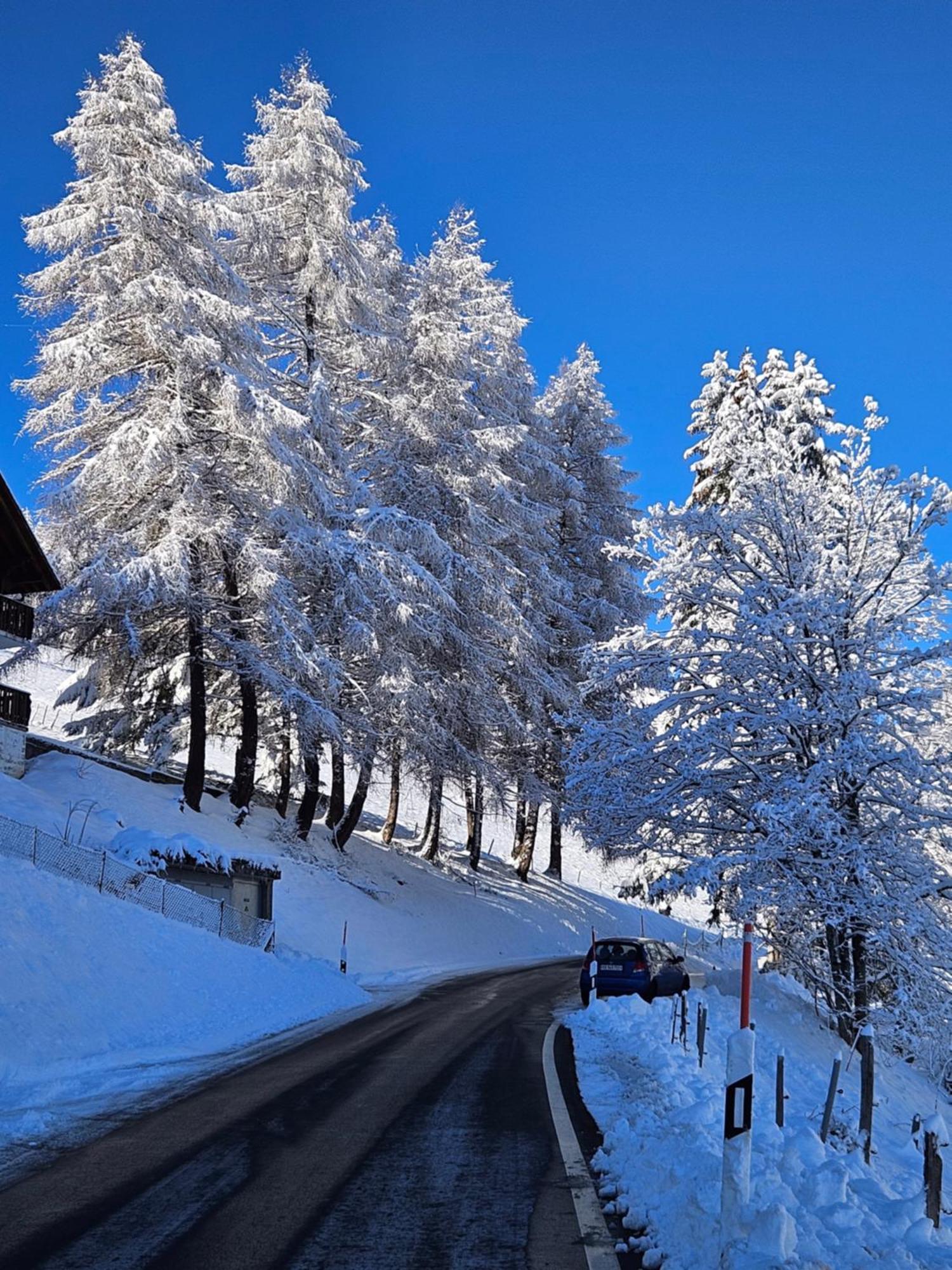 Sweet & Cosy Chalet In The Heart Of The Swiss Alps Troistorrents المظهر الخارجي الصورة